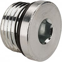 1/4 BSPP Plug