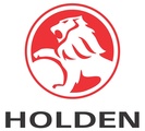 Holden Link ECU PnP