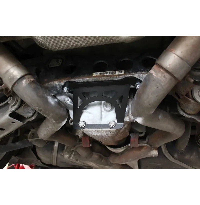 215L BMW E90 Differential Mount Reinforcement E91 E92 E93