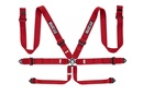 Sparco 6pt Safety harness red