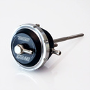Turbosmart Borg warner wastegate (B1)