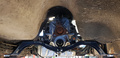 Gearbox mount BMW ZF 5vxl - Volvo 240